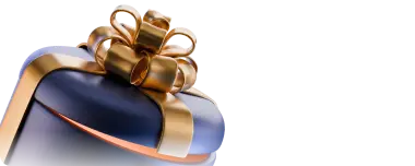 Bonuses Skinbox